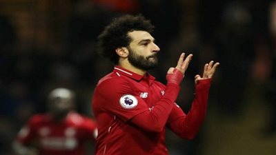 محمد صلاح  يعلق على مزاعم تصدير القطط والكلاب إلى الخارج (صورة)
