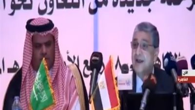 وزير الكهرباء: محطة الضبعة النووية تتحمل اصطدام طائرة بها