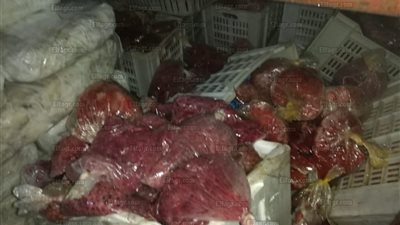 بالصور.. ضبط طن ونص أسماك فاسدة داخل مطعم شهير بمدينة نصر (صور)