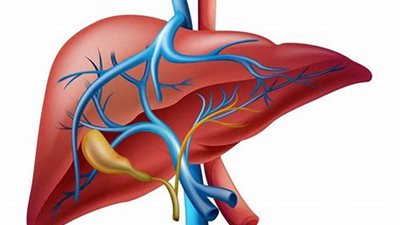 طريقة منزلية مذهلة تخلصك من سموم الكبد في أسبوع!