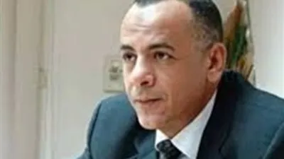 مصطفى وزيري: الإعلان عن كشف أثري جديد في ديسمبر المقبل.. 