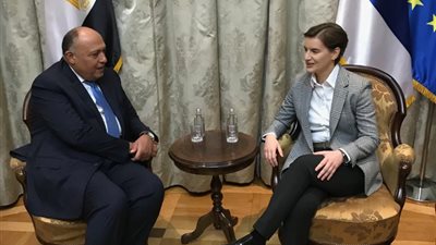 شكري يبحث مع رئيسة وزراء صربيا فتح خط طيران مباشر بين البلدين