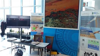 مصر تنال استحسان المجتمع الدولي في حماية الطيور المهاجرة 