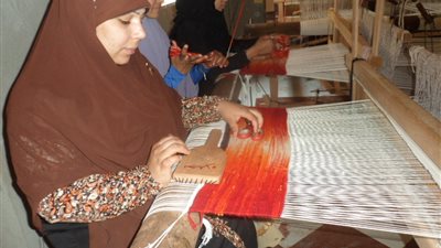 منظمات المجتمع المدني بالفيوم تشارك بمنتجات 