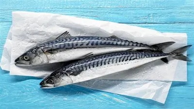 الأسماك بين المنع والحل في الأصوام المسيحية.. تعرف على الأسباب