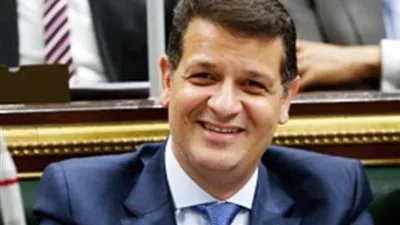 برلماني: مصر لعبت دورًا رئيسيًا في حركات استقلال الدول الإفريقية من الاستعمار