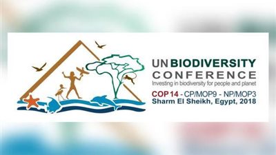 برسيجا تنظم جلسة عمل بشأن تحسين إدارة المحميات البحرية بالبحر الأحمر