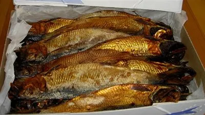 الأمارات تعلن عن احتياجها إلى 