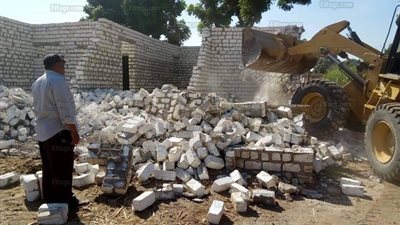 إزالة 110 حالة تعدِ على أراضي زراعية جنوب الأقصر (صور)