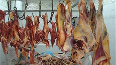 ضبط 93 كيلو لحوم غير صالحة للاستهلاك بمركزين بالمنيا