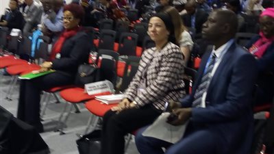 على هامش مؤتمر تغيير المناخ ببولندا.. وزيرة البيئة تشارك في احتفالية يوم إفريقيا