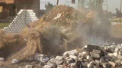 شاهد.. رفع 804 طن قمامة من شوارع الشرقية (صور)