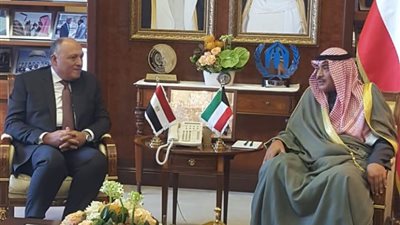 شكري لنظيره الكويتي: موقف مصر ثابت تجاه تعزيز آليات العمل العربي