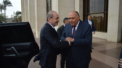 وزير الخارجية: قطر مستمرة في التحركات السلبية واحتضان المتطرفين