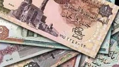 خبير اقتصادي يكشف مميزات 