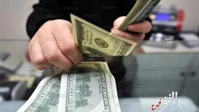 أستاذ ضرائب: تحرير سعر الدولار الجمركي يصب في مصلحة المنتجات الوطنية