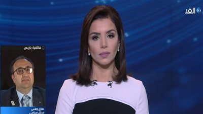 محلل سياسي يحذر من انضمام عناصر من خارج فرنسا بتظاهرات 