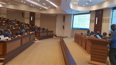 القاهرة تستضيف الاجتماعات التحضيرية لمنطقة التجارة الحرة الافريقية