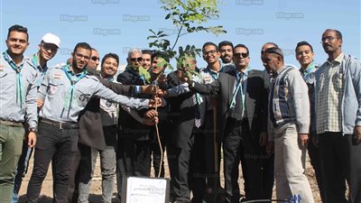 رئيس جامعة جنوب الوادي يغرس أول شجرة في المعسكر الحادي عشر