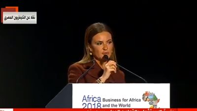 وزيرة الاستثمار: وقعنا 30 اتفاقية بقيمة 3.5 مليار دولار (فيديو)