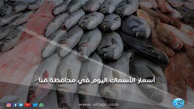 أسعار الأسماك اليوم الإثنين 10-12-2018 في محافظة قنا