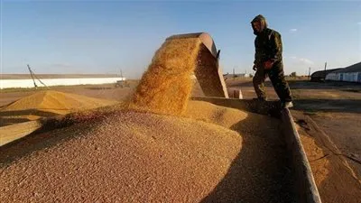 الحكومة توضح حقيقة تأخر وصول شحنات القمح المستوردة