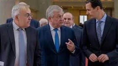 الأسد يبحث مع الوفد الروسي تشكيل اللجنة الدستورية السورية