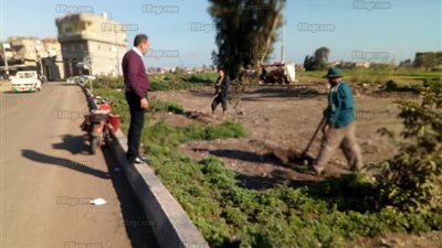 لحوم نافقة وإنشاء سور حول مدرسة وحملات مكثفة أبرز أعمال رئاسة مركز بلقاس بالدقهلية (صور)