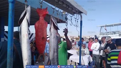 بمشاركة 23 فريقًا اختتام بطولة كأس الإتحاد لبطولة صيد الأسماك بالغردقة (صور)