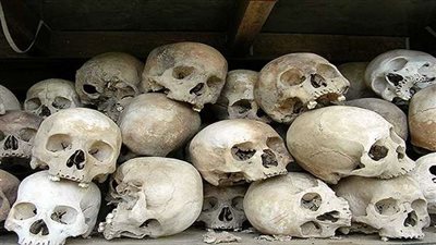 قانون جديد لتنظيم تجارة الأعضاء البشرية في هولندا