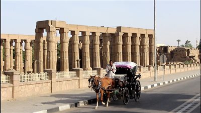 قرار بتقنين أوضاع أصحاب عربات الحنطور في الأقصر للحد من التلوث