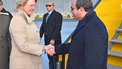 الجالية المصرية بالنمسا: 