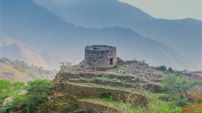 عاجل - السعودية| العيدابي تشجع المزارعين على إنتاج العسل بمبادرة غرس 30 ألف شجرة سدر