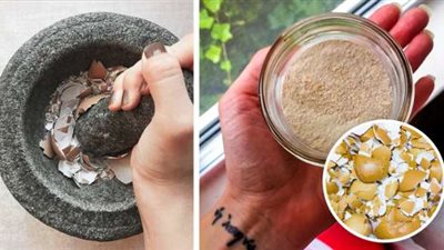 أشياء صالحة للأكل.. أبرزها 