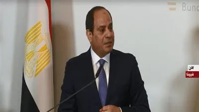 السيسي: تنسيق متكامل مع النمسا لتحقيق الاستقرار الأوروبي والإفريقي