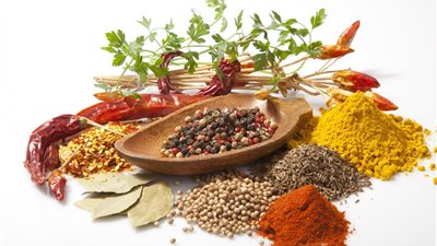 تعرف على أنواع 