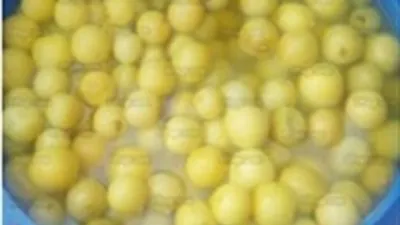 شن حملات تموينية مُكبرة خلال 24 ساعة وضبط المتلاعبين بأسعار السلع (صور)