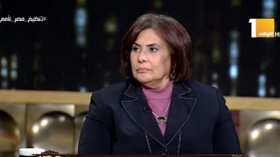 أماني الطويل: مصر تحمل راية قضايا أفريقيا في كل المنتديات