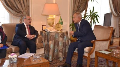 أبو الغيط يؤكد الأهمية الكبيرة لمخاطبة قضية الهجرة على المستوى العربي