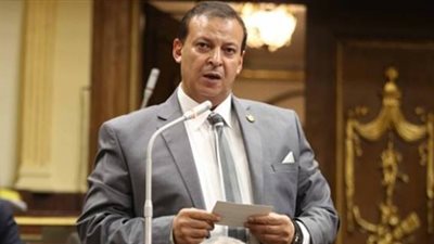 'برلماني': السيسي عبر عن الرأي العام المصري بجميع اتجاهاته وانتماءاته بالنمسا