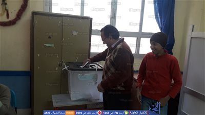 لجان زفتى تستقبل الناخبين للإدلاء بأصواتهم في الانتخابات التكميلية (صور)