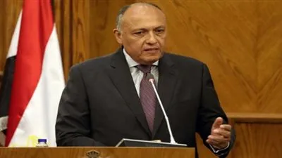 وزير الخارجية: القمة المصرية النمساوية تعطي دفعة كبيرة للعلاقات بين البلدين