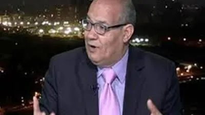 سعيد اللاوندي: زيارة السيسي للنمسا تضع الكثير من النقاط على الحروف