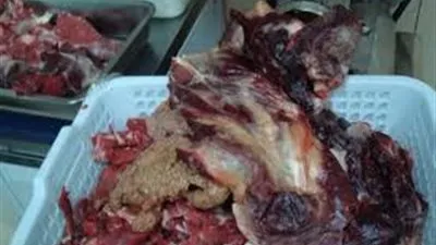 ضبط 3 طن كبد غير صالحة للاستهلاك الآدمي بثلاجة بالخصوص