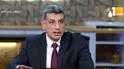 خبير التطوير المؤسسي: بعض الهيئات دورها انتهى من عشرات السنين