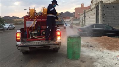 سبق – السعودية | أمانة المدينة تؤكد مواصلة مكافحة آفات الصحة العامة 