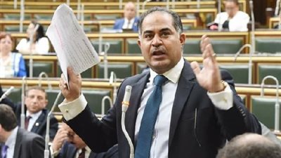 وكيل مجلس النواب: استغاثة محمد إيهاب مؤشر خطير لما يحدث في مصر