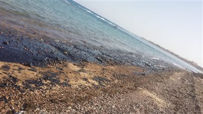 وزيرة البيئة تأمر بسرعة التعامل مع تلوث زيتي بأحد شواطئ رأس غارب