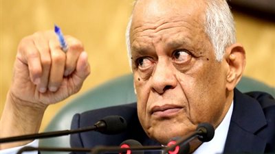 علي عبد العال: هناك وزارات لا تلتزم بنسبة الـ5% من الوظائف لذوي الإعاقة