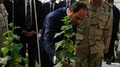 شركات أسبانية: 